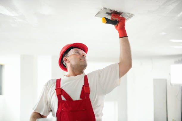 Best Water-Damaged Drywall Repair  in Southern Shores, NC